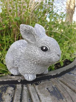 konijn,beeld van schattig klein konijntje - 3