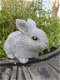 konijn,beeld van schattig klein konijntje - 3 - Thumbnail