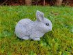 konijn,beeld van schattig klein konijntje - 4 - Thumbnail