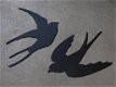 muurdecoratie zwaluwen , zwaluw - 0 - Thumbnail