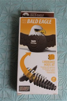 Bald Eagle 3D Model Kit - 0