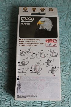 Bald Eagle 3D Model Kit - 1