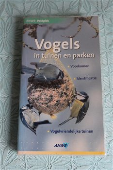 Vogels in tuinen en parken - 0