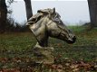 paardenhoofd,paard,landleven - 4 - Thumbnail