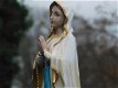 maria met rozenkrans , heilige Maria beeld - 0 - Thumbnail