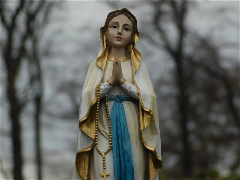 maria met rozenkrans , heilige Maria beeld - 2