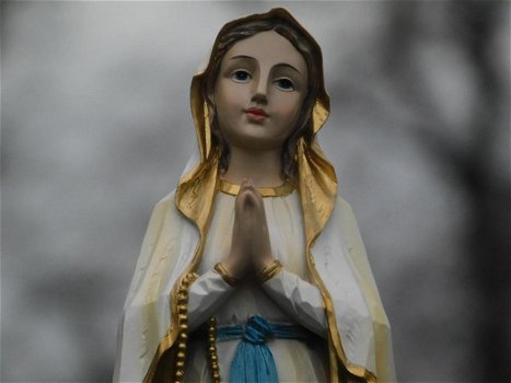 maria met rozenkrans , heilige Maria beeld - 3