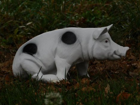 beeld van een varken - 0
