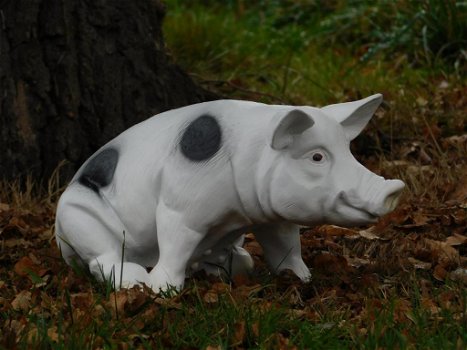 beeld van een varken - 1