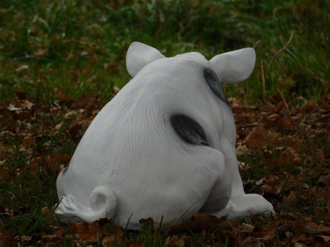 beeld van een varken - 3