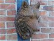 wolf , wanddecoratie ,beeld - 0 - Thumbnail