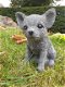 Chihuahua , puppy , tuinbeeld - 0 - Thumbnail