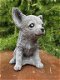 Chihuahua , puppy , tuinbeeld - 4 - Thumbnail