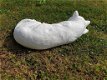 witte Slapende Kat , poes beeld - 2 - Thumbnail