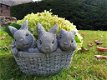 plantenbak, bloembak met 3 schattige konijntjes - 5 - Thumbnail