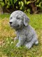 Golden Retriever, puppy ,tuinbeeld - 1 - Thumbnail