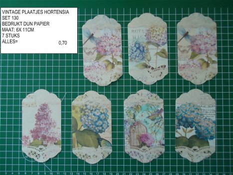 vintage plaatjes hortensia 130- laatste set - 0