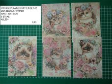 vintage plaatjes katten set 42 - laatste set