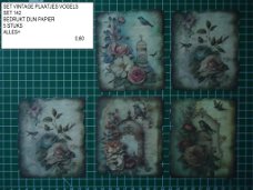 vintage plaatjes vogels set 142 - laatste set