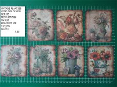 vintage plaatjes vogels/bloemen set 205 - laatste set- GERESERVEERD