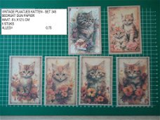 vintage plaatjes katten set 345 - laatste set