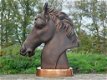 paard , buste van een paard - 1 - Thumbnail