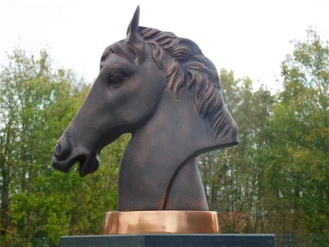 paard , buste van een paard - 2