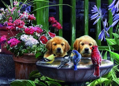 King Puzzel Dieren Hondjes Drinken Water- Puppies Drinking Water - 1000 Stuks - 1