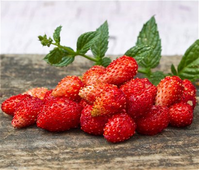 Bosaardbeien, heerlijke aromatische aardbeien hele zomer door. - 3