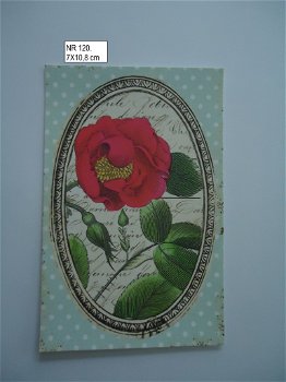 vintage kaartjes serie 9) bloemen - 0