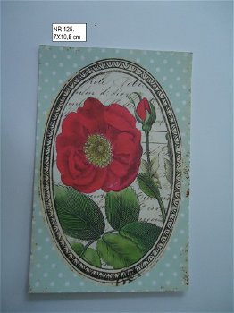 vintage kaartjes serie 9) bloemen - 4