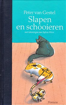 SLAPEN EN SCHOOIEREN - Peter van Gestel - 0