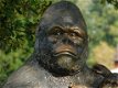 grote Gorilla , tuinbeeld - 2 - Thumbnail