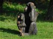 grote aap , aap , beeld - 3 - Thumbnail