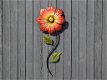 muurdecoratie , bloem , rood , gele bloem - 0 - Thumbnail