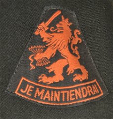 Nederlands landmacht DT uniform infanterie