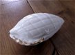 Porseleinen bakje/schaaltje met deksel - vorm van een schelp - 0 - Thumbnail