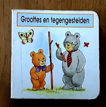 Kartonboekje: groottes en tegengestelden (mijn berenschool) - 0