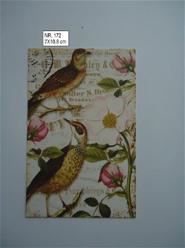 vintage kaartjes serie 13 ) vogels - 5