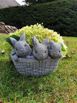 plantenbak, bloembak met 3 schattige konijntjes - 0