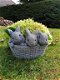 plantenbak, bloembak met 3 schattige konijntjes - 0 - Thumbnail