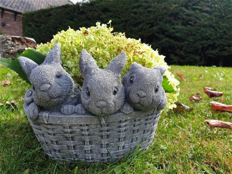 plantenbak, bloembak met 3 schattige konijntjes - 5
