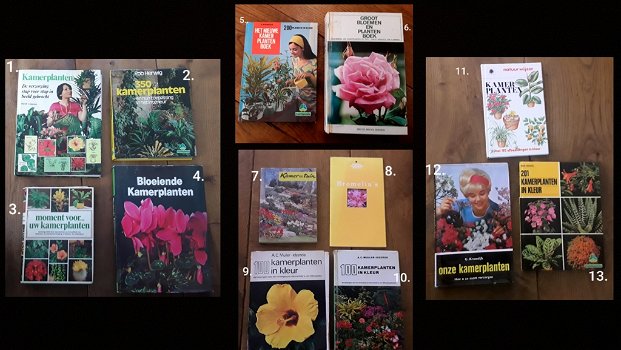 Boeken kamerplanten ( uitzoeken of alle 17 in 1 koop) - 0