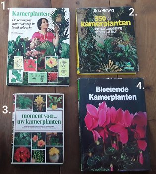 Boeken kamerplanten ( uitzoeken of alle 17 in 1 koop) - 1