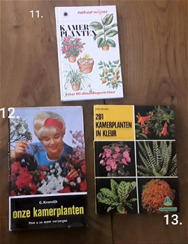 Boeken kamerplanten ( uitzoeken of alle 17 in 1 koop) - 4