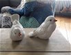 Witte porseleinen vogeltjes - 0 - Thumbnail