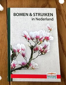 Bomen en struiken in nederland (nieuw)
