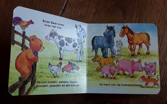 Kartonboekje: dieren (mijn berenschool) - 2