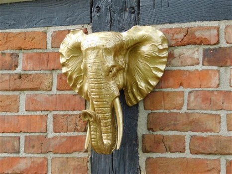 olifant , muurdecoratie - 0