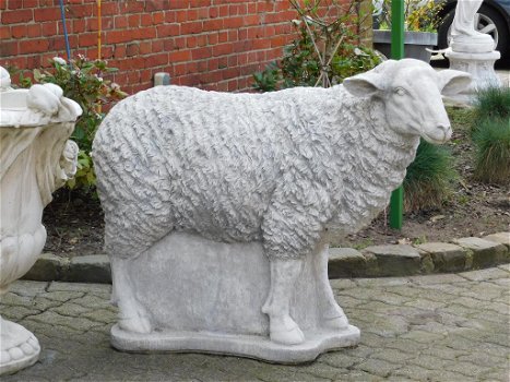 tuinbeeld , kado , schaap - 4